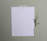 Mastering Minimalism: Simple Home Design Principles for a Clutter-Free Life