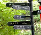 Navigating the New Money Landscape: Fintech Trends Explained